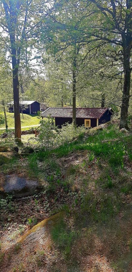 קרלסהאמן Kolleviks Camping Och Stugby מראה חיצוני תמונה